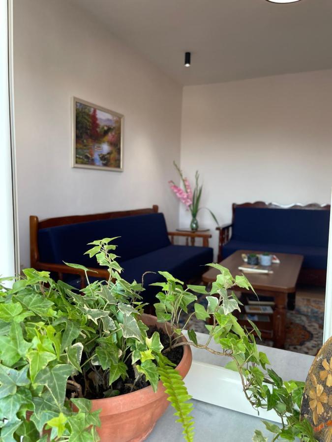 Leo'S Apartment شكودر المظهر الخارجي الصورة